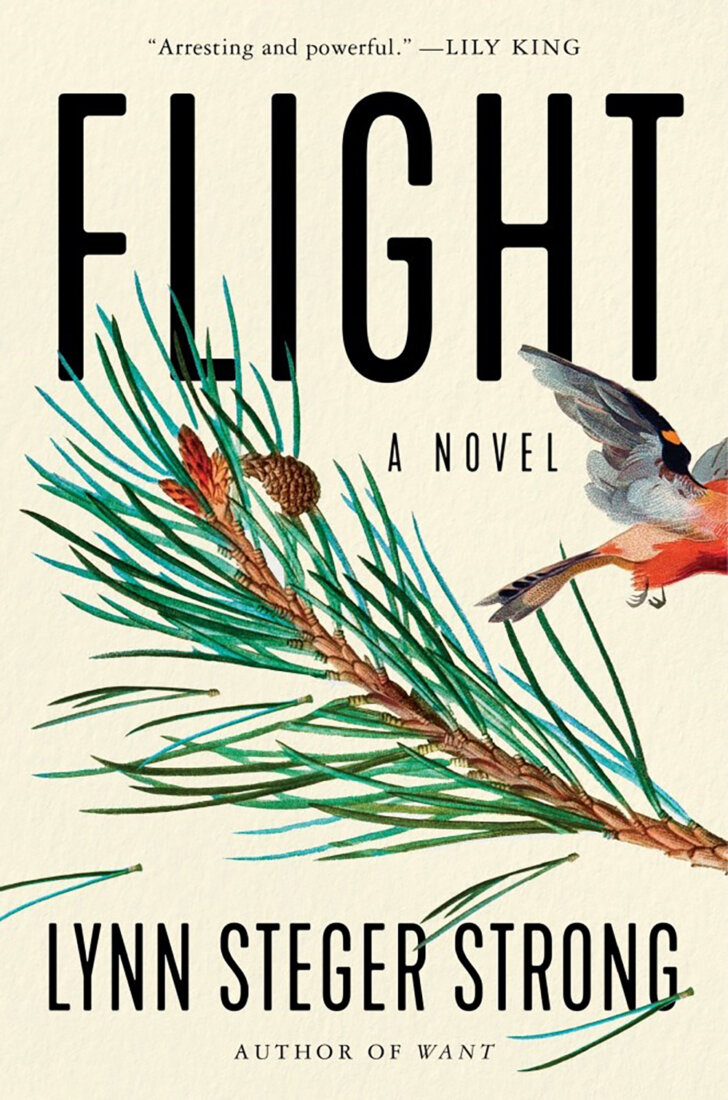 Book jacket image for Flight by Lynn Steger Strong