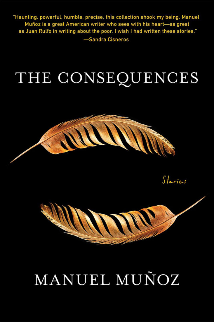 Book jacket image for The Consequences by Manuel Munoz