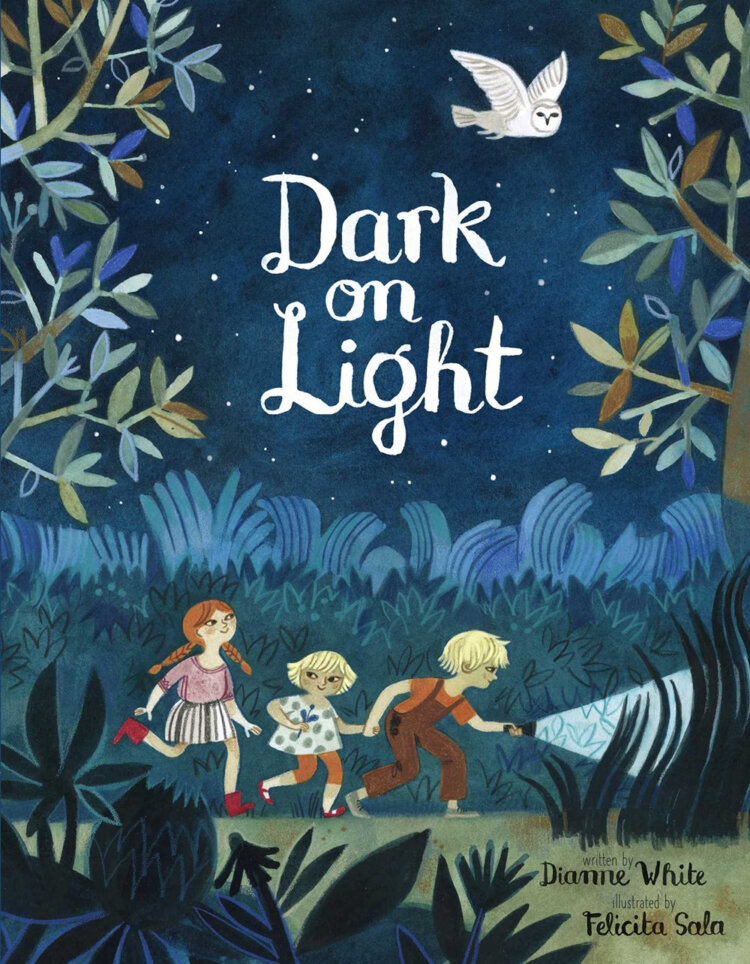 Book jacket image for Dark on Light by Dianne White