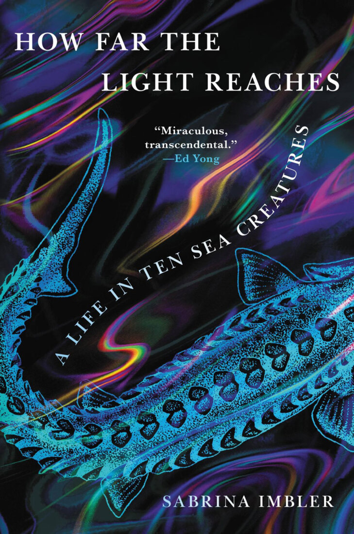Book jacket image for How Far the Light Reaches by Sabrina Imbler