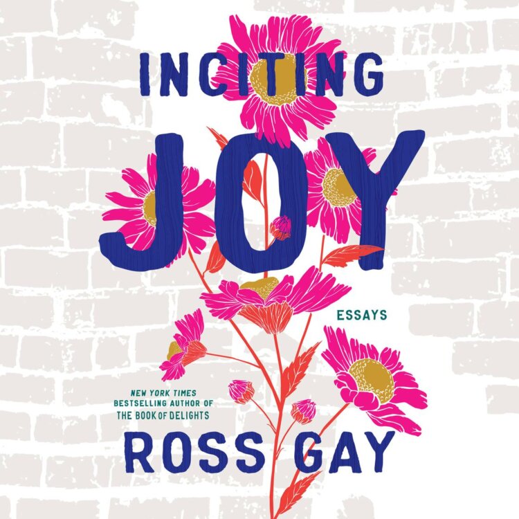 Inciting Joy audiobook cover