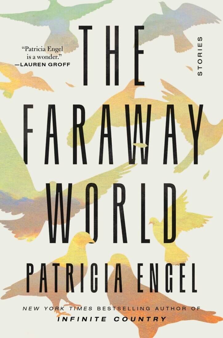 The Faraway World book cover